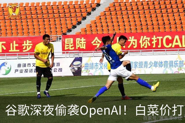 谷歌深夜偷袭OpenAI！白菜价打赢Pro